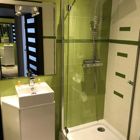 Apartment Roko *