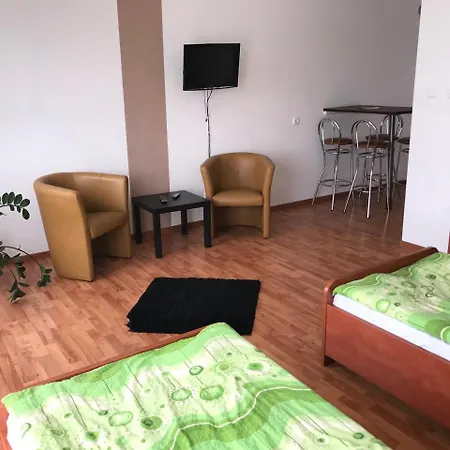Apartment Roko *