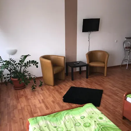 Apartment Roko *